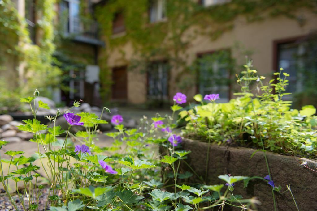 Zum Roten Baeren Hotel Freiburg im Breisgau Exterior photo